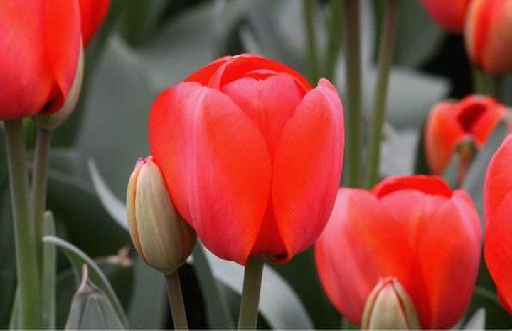 信马由缰打一最佳生肖数字动物,解释词语作答释义