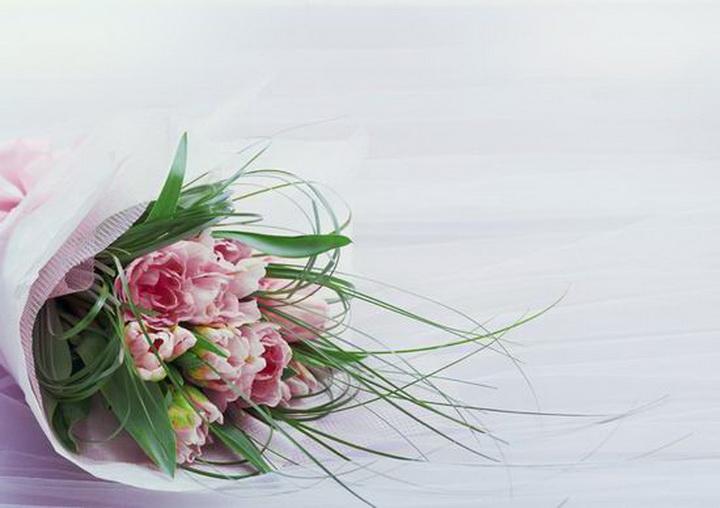 “今期狗虎牛出特，惆怅送君身未达”指是代表猜打一准确生肖,诗句详细解释释义