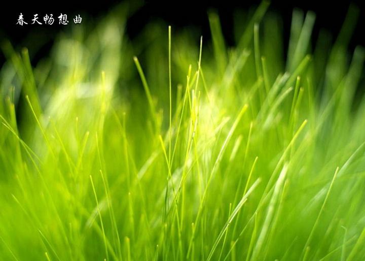 成语作答诗意：本期生肖二五开，二三门看特有钱打一个最佳生肖,释义经典作答