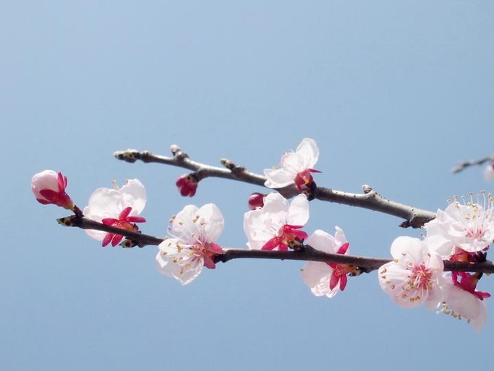 买彩运气很重要,白姐透特都不要,七嘴八舌讲不清,争强斗胜闹纷纷最佳生肖词语解谜,精选释义谜团解释!