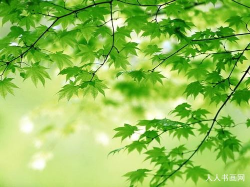 今期生肖诚公布，二二共鸣藏四七，二二开来中得四，四五得九中间开猜打一最佳精准生肖,甄选词语释义
