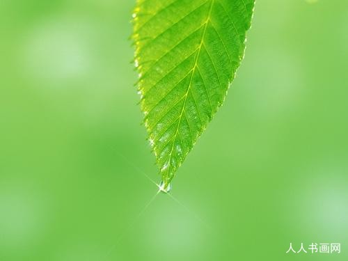 谜底作答:眉下添眉，面貌一新。纵横逸气宁称力指打一个最佳生肖谜底释义最佳成语解释