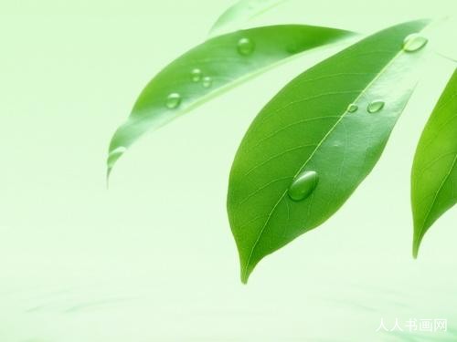 临死不怯，柳媚花明。不知千古万古人。眉下添眉，面貌一新。纵横逸气宁称力打一个准确生肖,释义最佳成语解