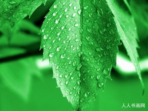 精选释义作答:孤魂野鬼虎满地指打一个精准正确生肖，词语释义解析