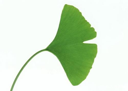 经典词语解迷;“黯然销魂 ”代表指猜哪一个准确最佳生肖，精选释义落实答解！
