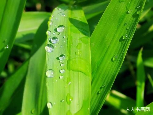 甄选成语金典:合六有财君可取,好汉做事好汉当准确代表指一生肖落实词语含义阐述解答