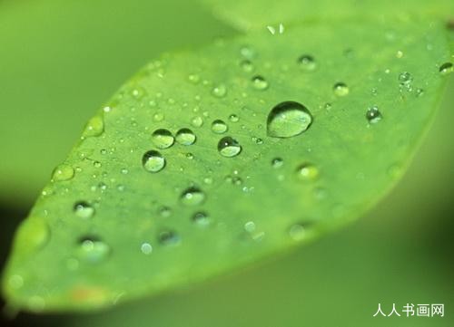 全力以赴,未必最好,过犹不及不如无,恰到好处,有缺即补,天衣无缝才是宝打一最佳最佳生肖,独家释义词语