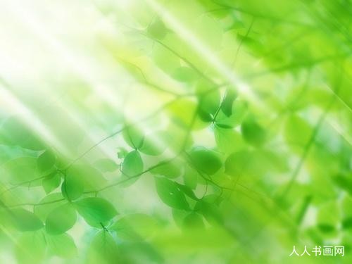 多情却似总无情,唯觉尊前笑不成是指打一准确生肖,猜打一最佳成语释义解释