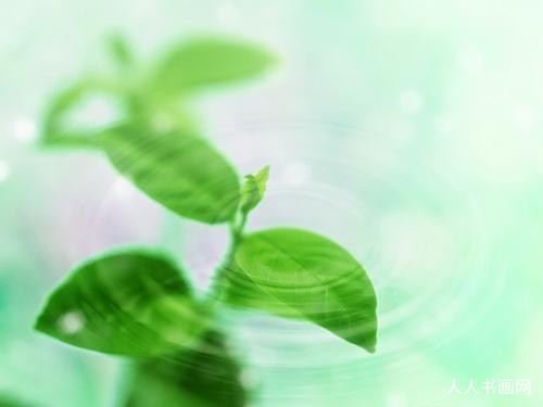 词语精准解释：今期生肖二四开,四前九后有玄机指打一最佳生肖词语,正确解释落实解析