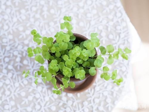 释义作答词语：眼花縧乱色彩髓，九死一生后有福指打一精准准确最佳正确释义