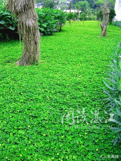 谜底词语作答＂移花入户笑床空,算得合六此数来＂打一最佳生肖谜底释义最佳成语解释
