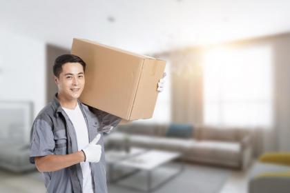 谜底解释作答:龙行天下在江南，美女作陪似神仙打一准确最佳生肖词语阐述解答揭秘解析