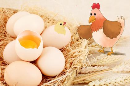 荡然一空是代表打什么准确生肖,猜解哪一个最佳成语解释释义