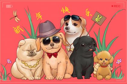 “步步为营”猜指哪个是什么生肖|打一个最佳准确生肖词语|J精选释义作答词语赏析解释