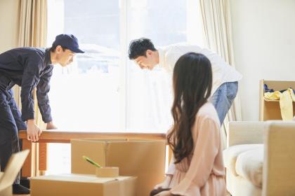 经典作答解释:悠游活跃如穿梭,冲锋陷阵奏凯歌,猜解打一释义最佳生肖成语解释