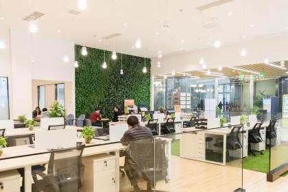 成语甄选作答：蓝蓝绿绿蓝为主,有道高人来指点是代表哪个正确生肖,落实词语含义解答阐述