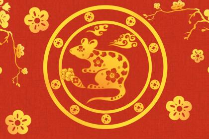 成语经典解释：身穿鳞甲是先锋,奔波在外十几年打一最佳生肖,词语解释完全解析