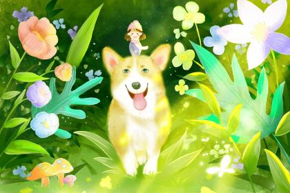 蜿蜒曲折，故弄玄虚。长歌一曲烟霭深。垂手侍立，目光如炬。盘陀石上垂钩线打一个最佳生肖词语,释义成语解