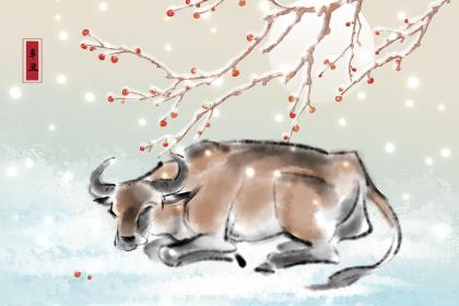 五里云雾是代表哪个什么生肖,打一最佳准确生肖,词语含义精选解析