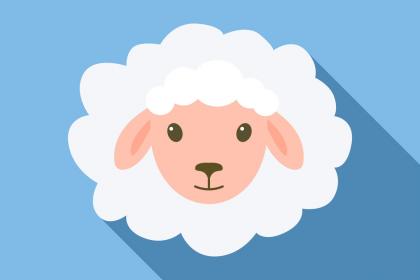 属羊人适合在哪个领域发展