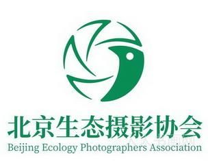 北京生态摄影协会