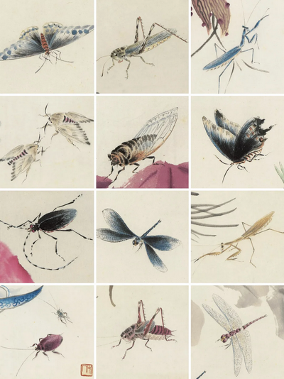 齐白石草虫大全，高清震撼！（1）